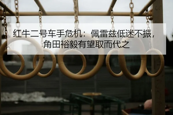 hong-niu-er-hao-che-shou-wei-ji-pei-lei-zi-di-mi-bu-zhen-jiao-tian-yu-yi-you-wang-qu-er-dai-zhi-2-380.jpg